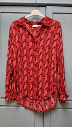 Fabienne Chapot zgan rode blouse maat xs kan ook als s, Ophalen of Verzenden, Zo goed als nieuw, Maat 34 (XS) of kleiner, Rood