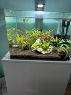 Dennelre nanoqube 70 ltr, Ophalen, Zo goed als nieuw