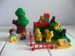 Duplo Wild cats dieren, Ophalen of Verzenden, Zo goed als nieuw, Complete set, Duplo