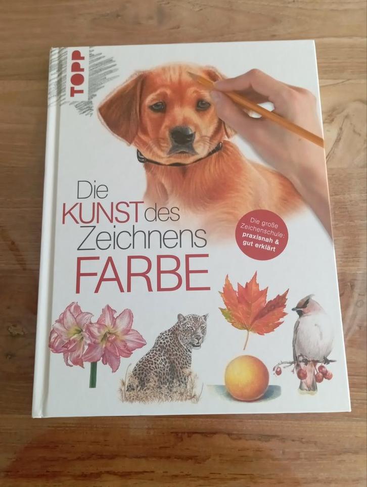 Duits Schildertechnieken Boek - Zo Goed Als Nieuw, Boeken, Economie, Management en Marketing, Zo goed als nieuw, Overige onderwerpen