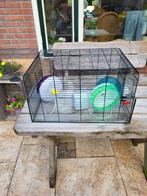 Hamsterkooi met glazen bodem, Dieren en Toebehoren, Kooi, Gebruikt, Ophalen, Minder dan 60 cm