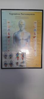 Anatomie, Ophalen of Verzenden, Zo goed als nieuw, Apparaat