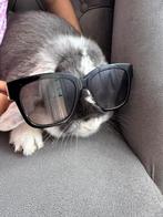 Hangoorkonijn 1 jaar, Dieren en Toebehoren, Konijnen, Vrouwelijk, Middelgroot, 0 tot 2 jaar