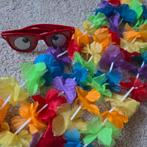 Carnaval Hawaiketting funbril hawai ketting slinger Funglass, Ophalen of Verzenden, Zo goed als nieuw, Carnaval