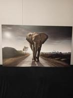 Olifant schilderij/prent, Ophalen, 100 tot 125 cm, Oorspronkelijke maker, 50 tot 75 cm