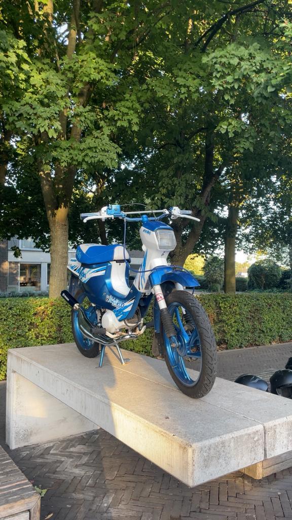 Honda Wallaroo B-Klasse (Geel kenteken), Fietsen en Brommers, Brommers | Honda, Gebruikt, Overige modellen, Maximaal 45 km/u, Ophalen