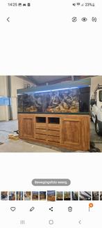 Aquarium 50 diep
153 hoog
2 m breed, Ophalen of Verzenden, Zo goed als nieuw, Leeg aquarium