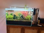 Aquarium superfish 90 incl vissen en toebehoren, Ophalen, Zo goed als nieuw, Gevuld zoetwateraquarium