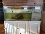 Waterschildpad aquarium, Dieren en Toebehoren, Reptielen en Amfibieën | Toebehoren, Ophalen, Gebruikt, Terrarium of Paludarium