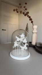 Stolp vlinders wit J-Line glas L, Ophalen of Verzenden, Nieuw