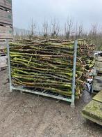 Openhaardhout - Takken, Tuin en Terras, Haardhout, Minder dan 3 m³, Ophalen, Overige houtsoorten, Stammen