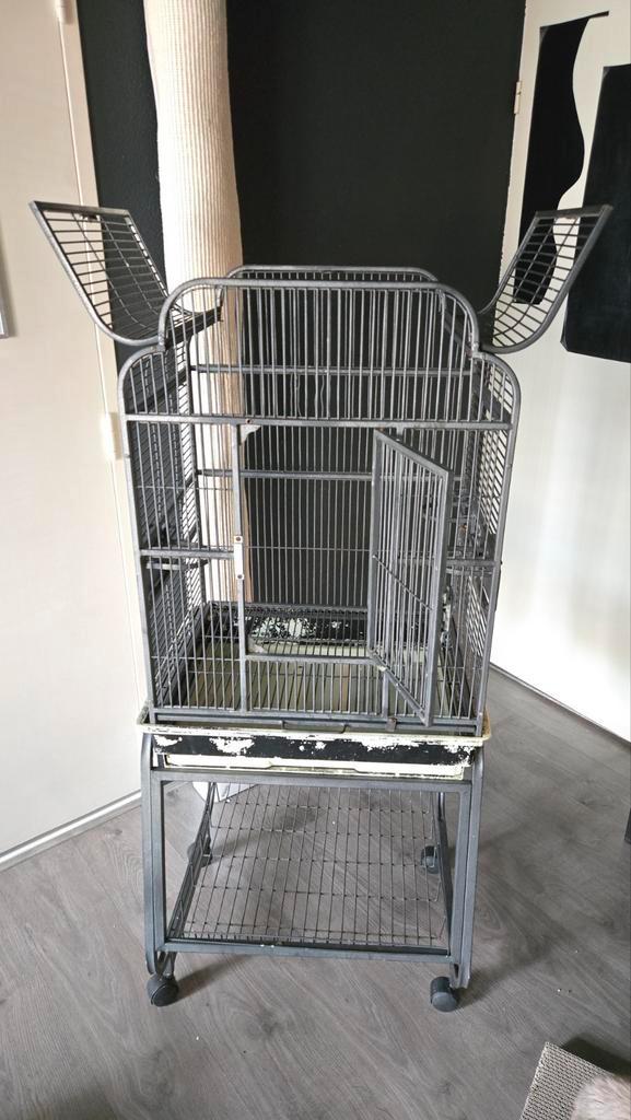 Papegaaienkooi gebruikt, Dieren en Toebehoren, Vogels | Hokken en Kooien, Gebruikt, Vogelkooi, Metaal, Ophalen