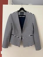 McGregor dames jasje maat L, McGregor, Blauw, Maat 42/44 (L), Ophalen of Verzenden