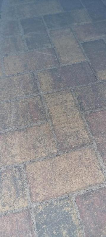 Betonklinkers Tremicobont beschikbaar voor biedingen