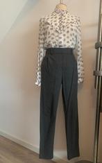 Drykorn jogger pantalon broek grijs bruin W28/L34 = S/36, Drykorn, Ophalen of Verzenden, Zo goed als nieuw, Maat 36 (S)