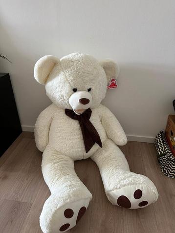 Teddy beer groot beschikbaar voor biedingen