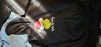 Hoodie feeling grinchy maat 164/170, Ophalen of Verzenden, Gebruikt, Trui of Vest