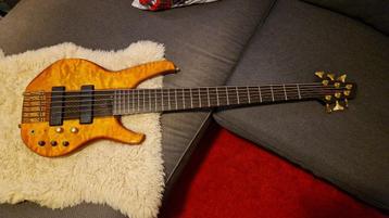 Status Graphite Series 2 6 string beschikbaar voor biedingen