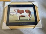 schilderij koetje, Minder dan 50 cm, Nieuw, Ophalen of Verzenden, Schilderij