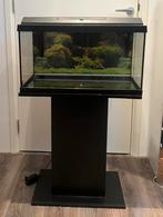Aquarium + standaard, Dieren en Toebehoren, Vis
