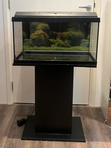 Aquarium + standaard beschikbaar voor biedingen