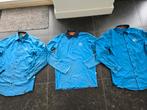 Albert Heijn kleding, blouse, polo, Kleding | Heren, Polo's, Ophalen of Verzenden, Gedragen, Maat 46 (S) of kleiner
