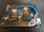 LEGO - NIEUW IN DOOS: Harry Potter & Hermelien Griffel 76393, Ophalen of Verzenden, Nieuw, Complete set, Lego