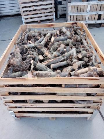 Droog appelhout fruitbomenhout haardhout  beschikbaar voor biedingen