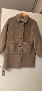 Teddy Jas NIEUW, Meisje, Nieuw, Ophalen of Verzenden, Jas