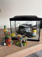 Aquarium met toebehoren. Goldfish kit . H 30 B35 D 23, Dieren en Toebehoren, Ophalen, Gebruikt, Gevuld zoetwateraquarium