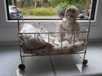Antiek metalen poppenbedje op wielen met popje, Antiek en Kunst, Antiek | Speelgoed, Ophalen of Verzenden