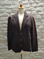 Dolce Vita Jasje Maat 46, Bruin, Verzenden, Maat 46/48 (XL) of groter, Gedragen