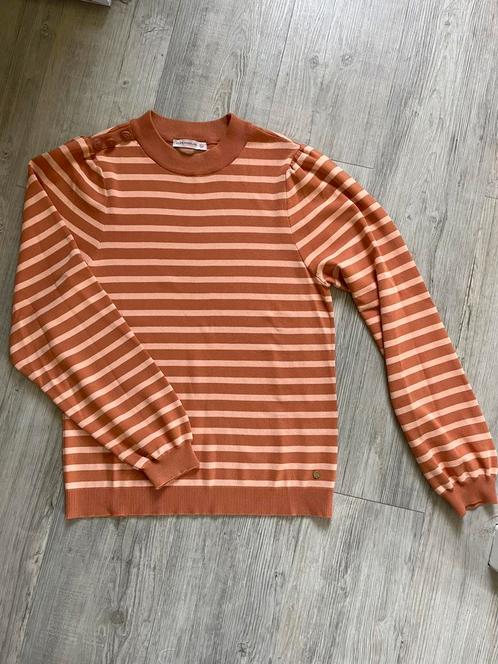 Studio Anneloes trui, maat XL, Kleding | Dames, Truien en Vesten, Zo goed als nieuw, Maat 42/44 (L), Ophalen of Verzenden