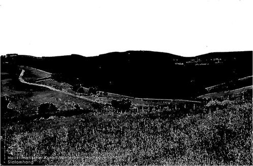 (701-485-047) Winterberg, Verzamelen, Ansichtkaarten | Buitenland, Duitsland, Voor 1920, Verzenden