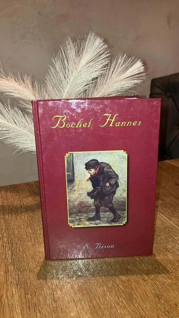 S. Bison - Bochel Hannes, Boeken, Kinderboeken | Jeugd | onder 10 jaar, Gelezen, Fictie algemeen, Ophalen of Verzenden