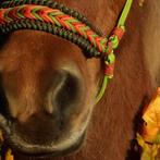 Op maat gemaakt touwhalster met Luna’s Wellenbenno neusstuk, Dieren en Toebehoren, Paarden en Pony's | Hoofdstellen en Tuigage