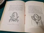boek beknopte schets der ontwikkeling en geboorte, Boeken, Overige Boeken, Ophalen of Verzenden