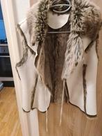Bodywarmer L, Kleding | Dames, Ophalen of Verzenden, Nieuw, Maat 38/40 (M)