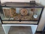 Terrarium / Gerbilarium nieuw!, Dieren en Toebehoren, Overige typen, Ophalen, Minder dan 60 cm, Minder dan 75 cm