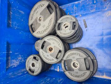 Technogym plates 305 kg  beschikbaar voor biedingen