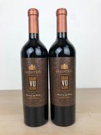 2x Salentein Gran Vu Uco Valley Blend, Nieuw, Rode wijn, Overige gebieden, Verzenden