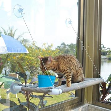 Kattenhangmat voor aan het raam / Khaki

 beschikbaar voor biedingen