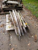 Gratis Kastanje, Eik en pallet hout, Tuin en Terras, Haardhout, Minder dan 3 m³, Ophalen