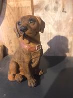 Prachtig beeld hond labrador pup Russel, Ophalen of Verzenden