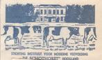 De Schothorst Hoogland - moderne veevoeding - koe, Ophalen of Verzenden