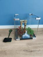 Aquarium vierkant, Ophalen, Gebruikt, Leeg aquarium