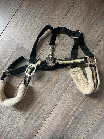Waldhausen halster met bont pony beschikbaar voor biedingen