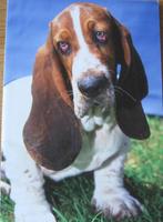 Basset in het gras met blauwe achtergrond - dubbele kaart, Verzenden, 1980 tot heden, Gelopen, Hond of Kat
