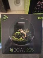BioArt planten terrarium, Ophalen of Verzenden, Nieuw