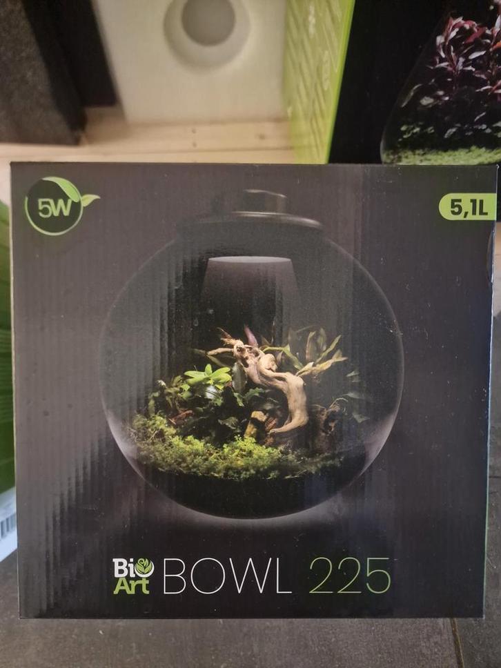 BioArt planten terrarium, Huis en Inrichting, Woonaccessoires | Stolpen, Nieuw, Ophalen of Verzenden